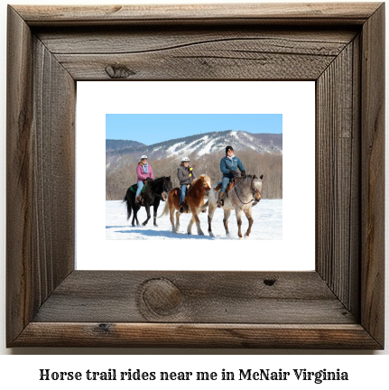 horse trail rides near me in McNair, Virginia